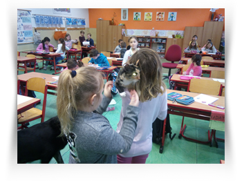 Kreslení živého tvora -návštěva zvířátek ve třídě